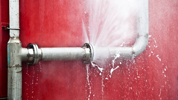 Best Flood restoration services  in Alvarado, TX